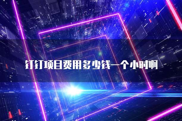 钉钉项目费用多少钱一个小时啊
