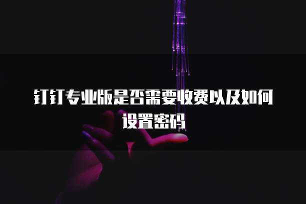 钉钉专业版是否需要收费以及如何设置密码