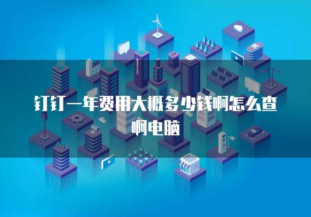 钉钉一年费用大概多少钱啊怎么查啊电脑