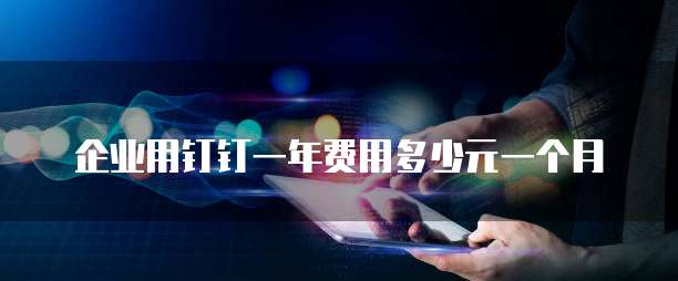 企业用钉钉一年费用多少元一个月