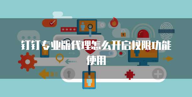 钉钉专业版代理怎么开启权限功能使用