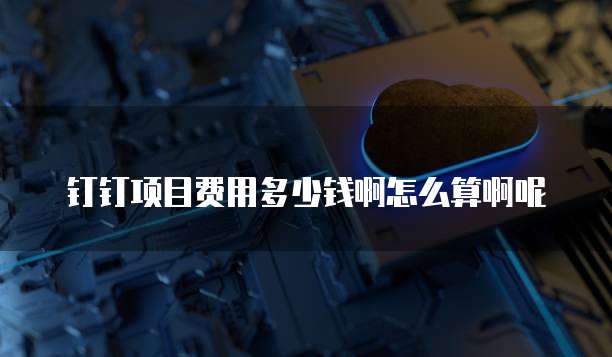 钉钉项目费用多少钱啊怎么算啊呢