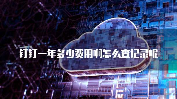 钉钉一年多少费用啊怎么查记录呢