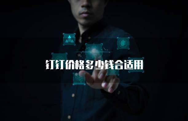 钉钉价格多少钱合适用