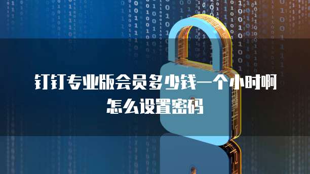 钉钉专业版会员多少钱一个小时啊怎么设置密码