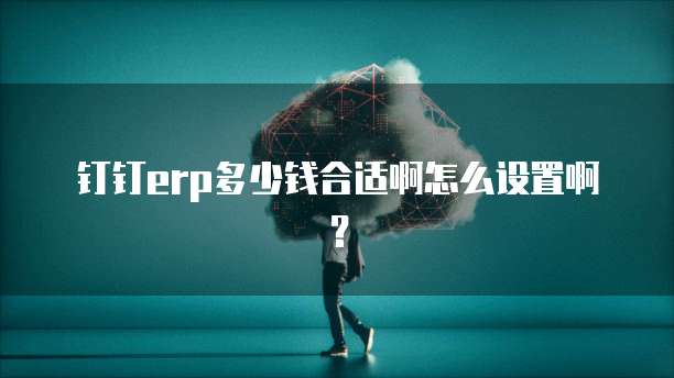 钉钉erp多少钱合适啊怎么设置啊?