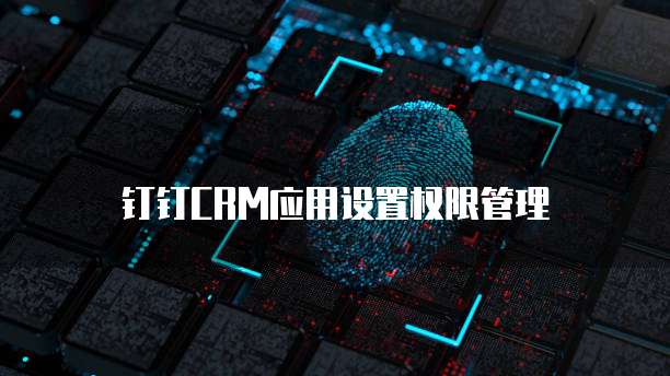 钉钉CRM应用设置权限管理