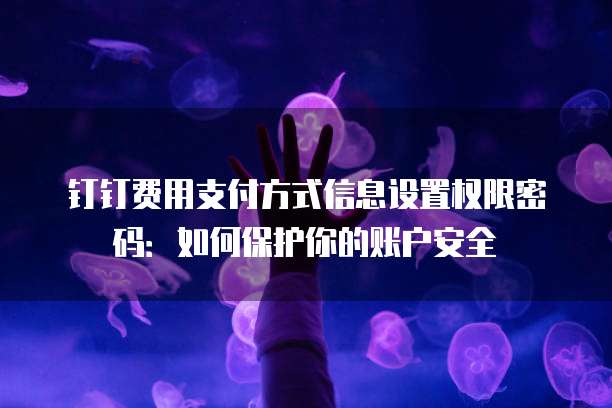 钉钉费用支付方式信息设置权限密码:如何保护你的账户安全