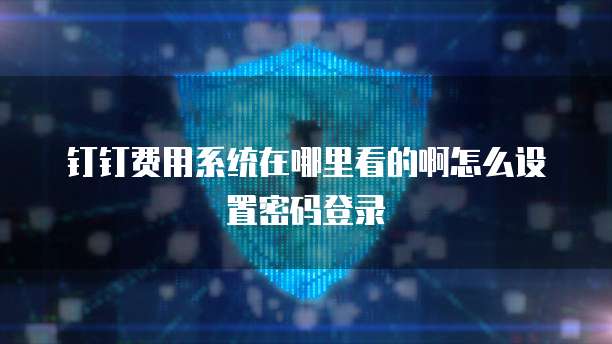 钉钉费用系统在哪里看的啊怎么设置密码登录