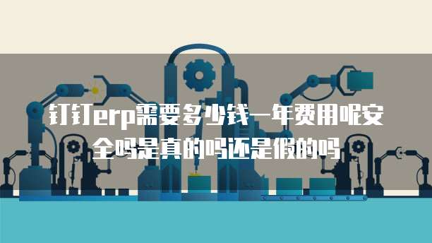 钉钉erp需要多少钱一年费用呢安全吗是真的吗还是假的吗