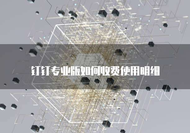 钉钉专业版如何收费使用明细