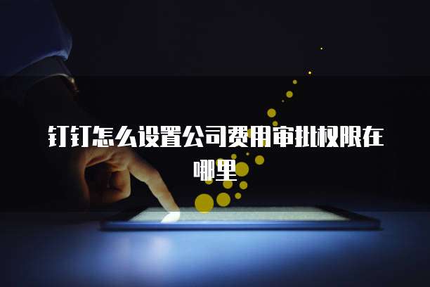钉钉怎么设置公司费用审批权限在哪里