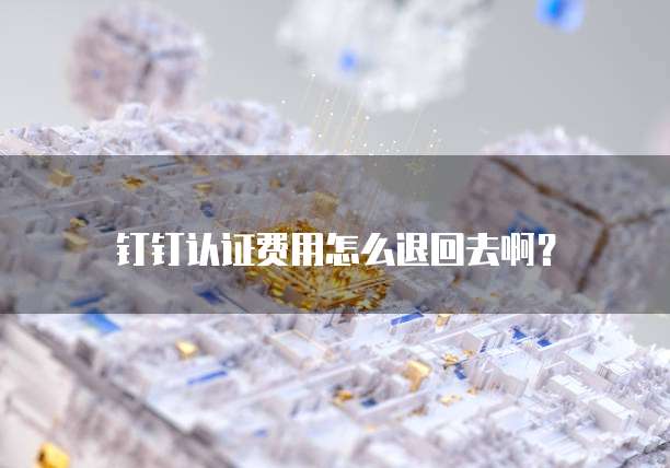 钉钉认证费用怎么退回去啊?
