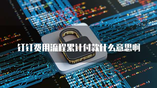 钉钉费用流程累计付款什么意思啊