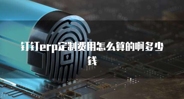 钉钉erp定制费用怎么算的啊多少钱