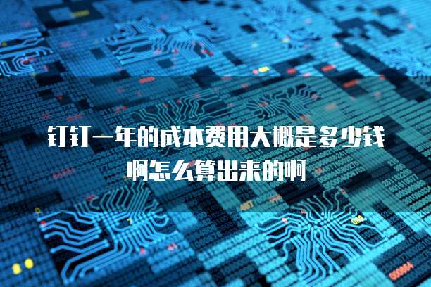 钉钉一年的成本费用大概是多少钱啊怎么算出来的啊