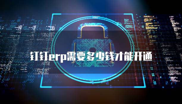 钉钉erp需要多少钱才能开通