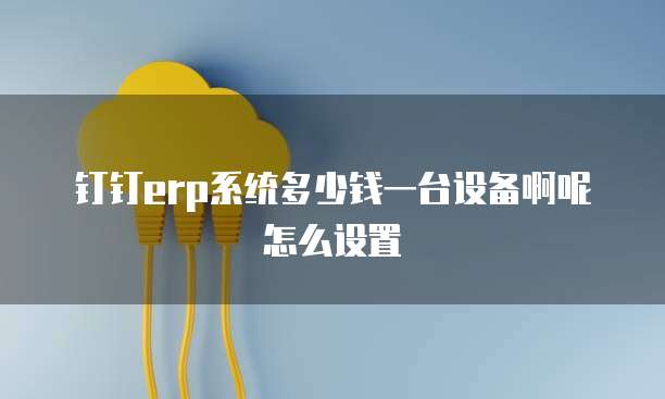 钉钉erp系统多少钱一台设备啊呢怎么设置
