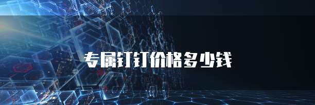 专属钉钉价格多少钱