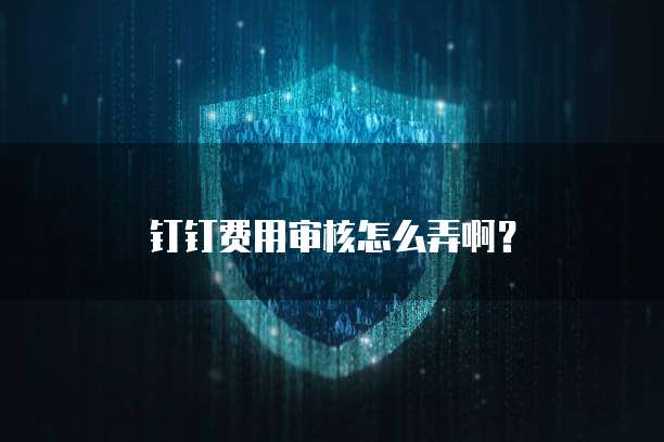 钉钉费用审核怎么弄啊?