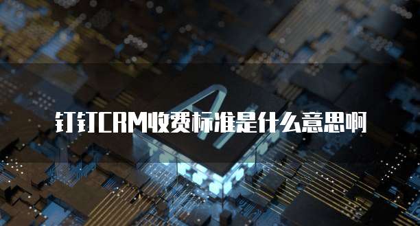 钉钉CRM收费标准是什么意思啊
