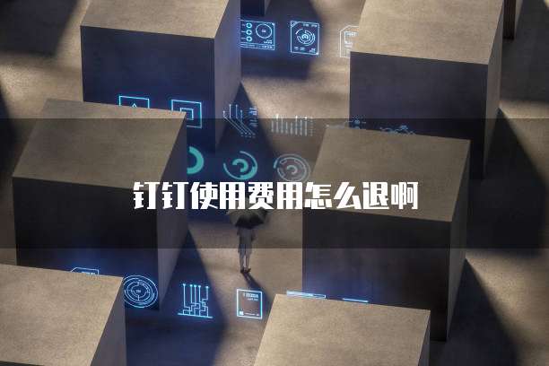 钉钉使用费用怎么退啊