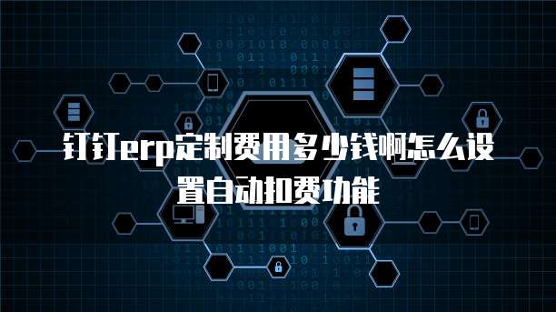 钉钉erp定制费用多少钱啊怎么设置自动扣费功能