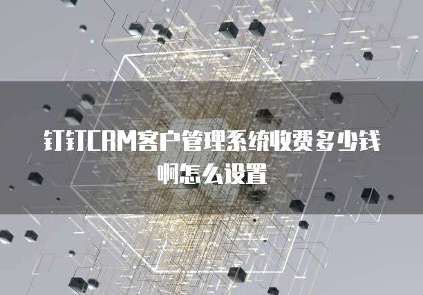 钉钉CRM客户管理系统收费多少钱啊怎么设置