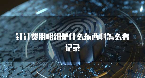 钉钉费用明细是什么东西啊怎么看记录