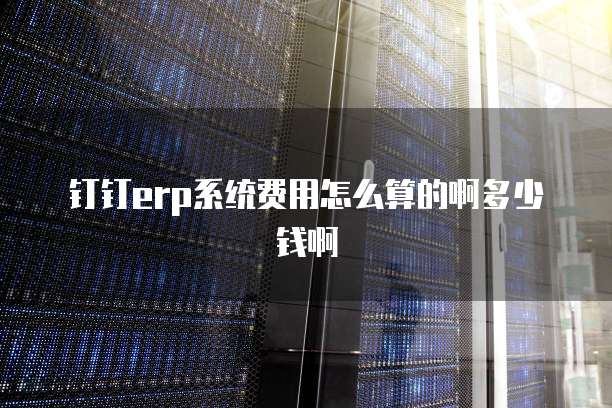 钉钉erp系统费用怎么算的啊多少钱啊