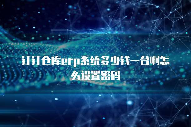 钉钉仓库erp系统多少钱一台啊怎么设置密码