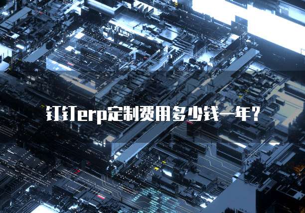钉钉erp定制费用多少钱一年？