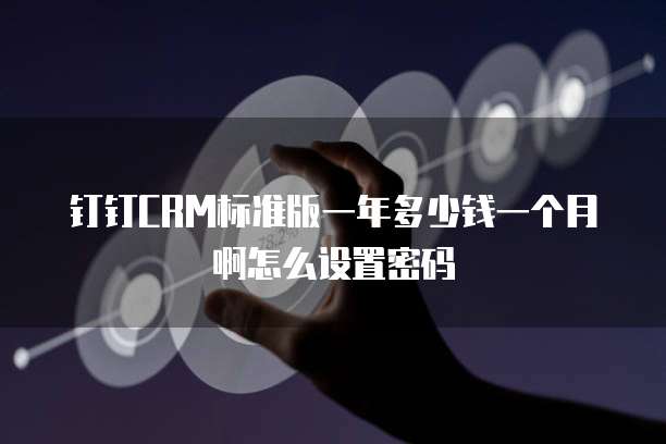 钉钉CRM标准版一年多少钱一个月啊怎么设置密码