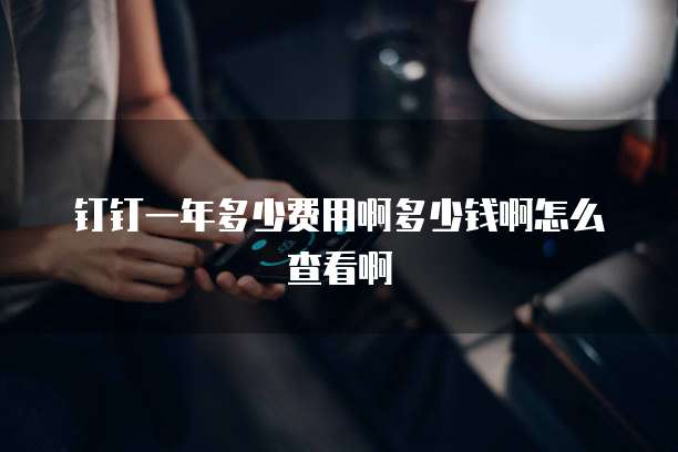 钉钉一年多少费用啊多少钱啊怎么查看啊