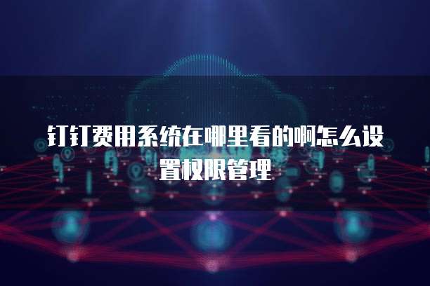 钉钉费用系统在哪里看的啊怎么设置权限管理
