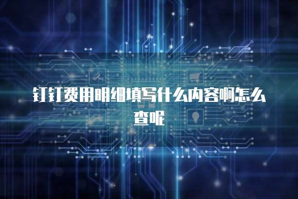 钉钉费用明细填写什么内容啊怎么查呢