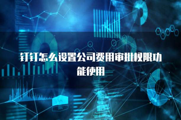 钉钉怎么设置公司费用审批权限功能使用