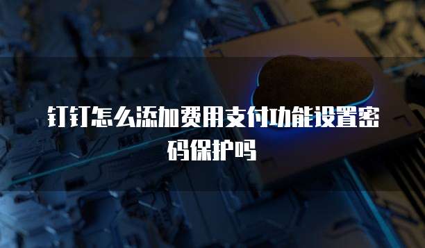 钉钉怎么添加费用支付功能设置密码保护吗