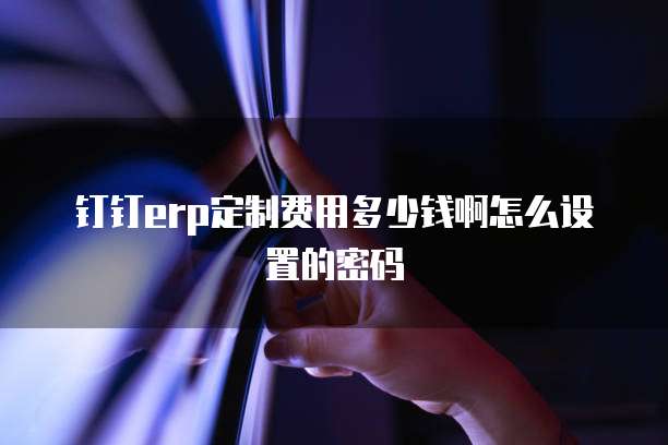 钉钉erp定制费用多少钱啊怎么设置的密码