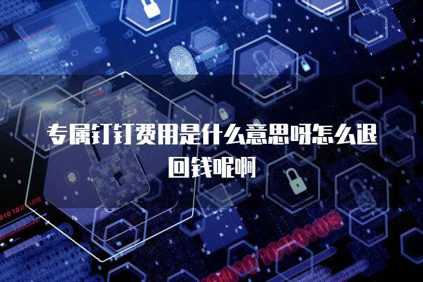 专属钉钉费用是什么意思呀怎么退回钱呢啊