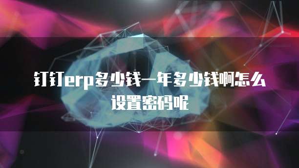 钉钉erp多少钱一年多少钱啊怎么设置密码呢