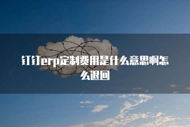钉钉erp定制费用是什么意思啊怎么退回
