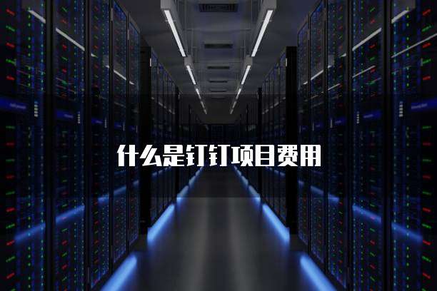 什么是钉钉项目费用