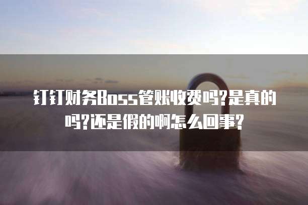 钉钉财务Boss管账收费吗?是真的吗?还是假的啊怎么回事?