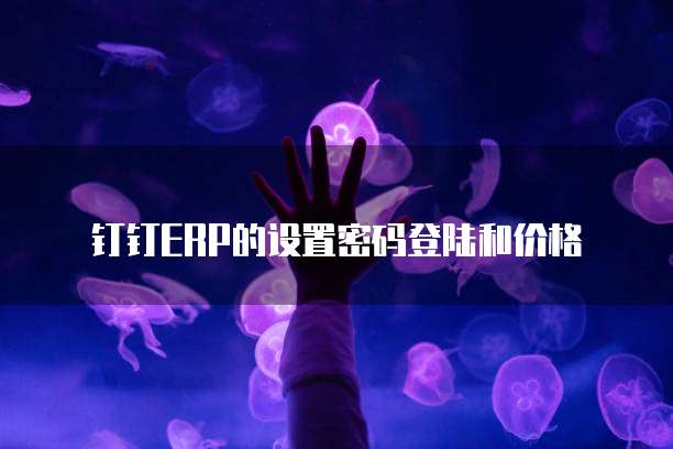钉钉ERP的设置密码登陆和价格