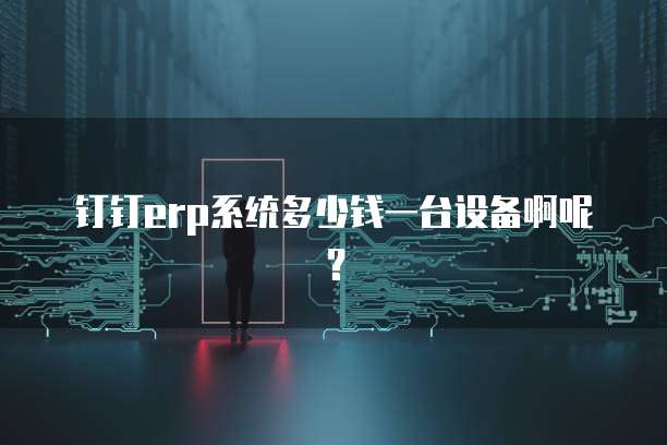 钉钉erp系统多少钱一台设备啊呢?