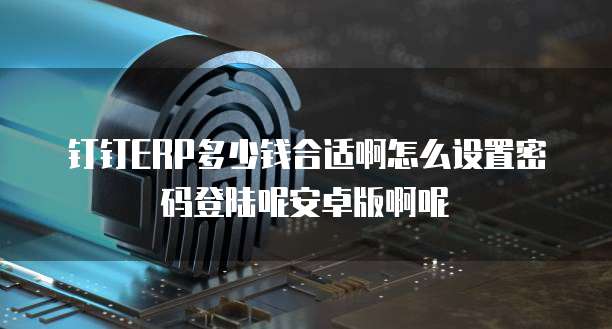 钉钉ERP多少钱合适啊怎么设置密码登陆呢安卓版啊呢