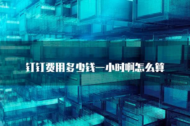 钉钉费用多少钱一小时啊怎么算