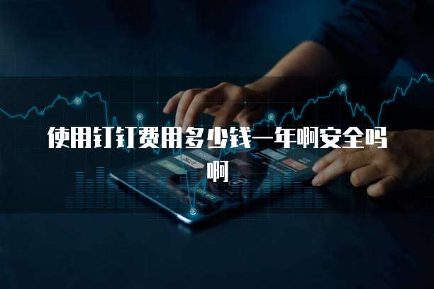 使用钉钉费用多少钱一年啊安全吗啊