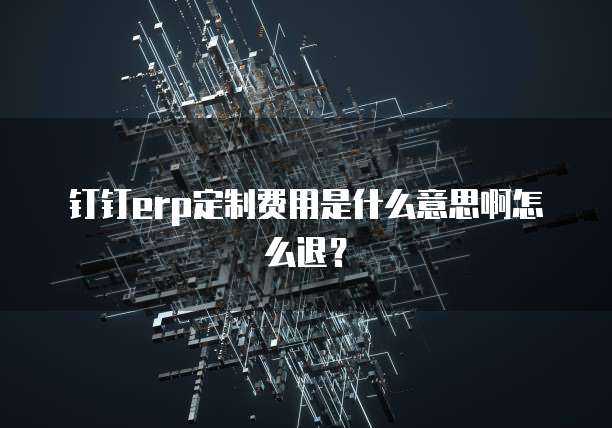 钉钉erp定制费用是什么意思啊怎么退?